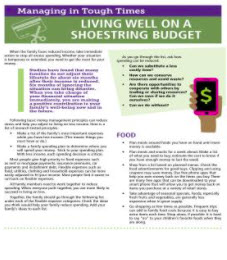 Living Well on a Shoestring Budget